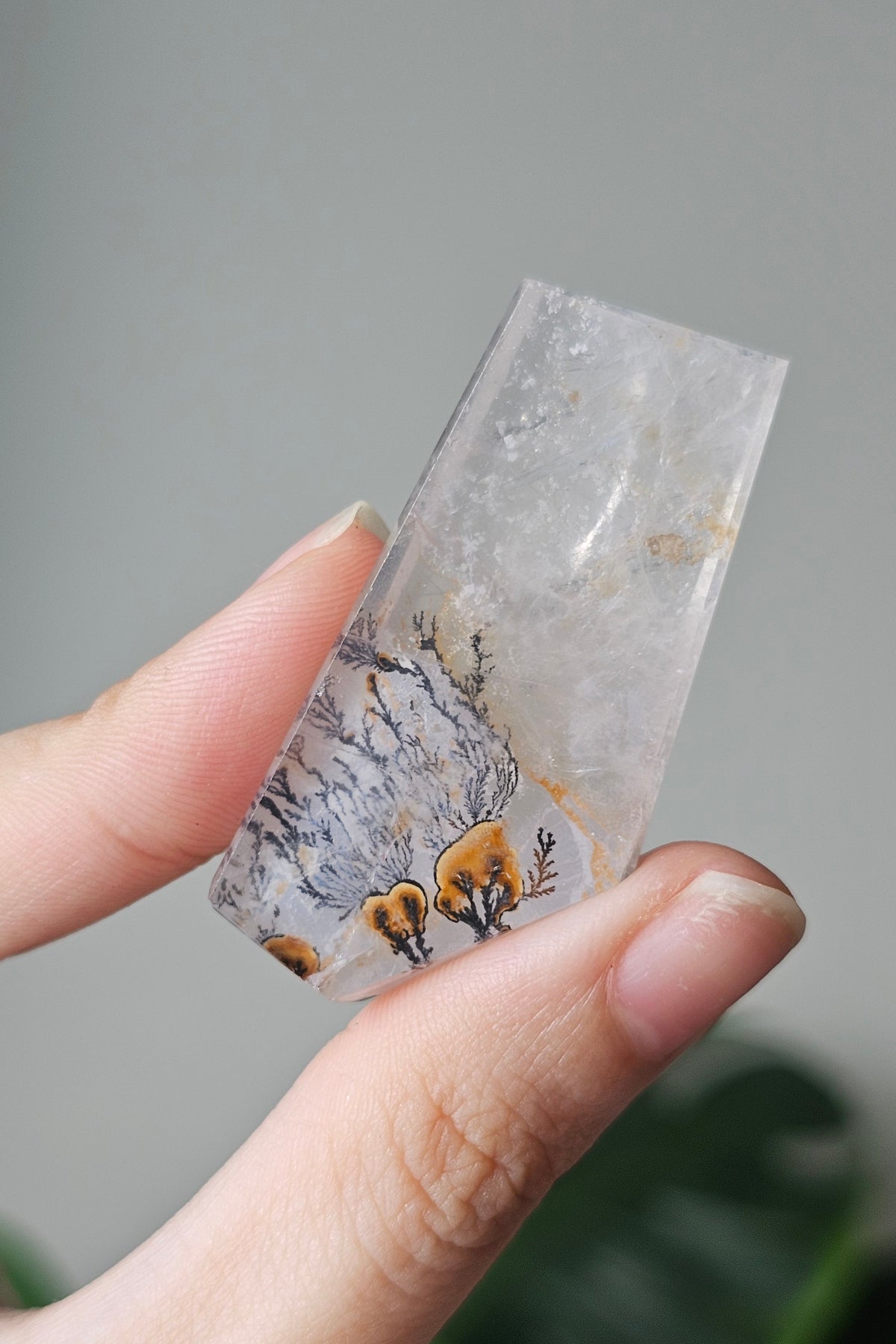 Dendritic Quartz