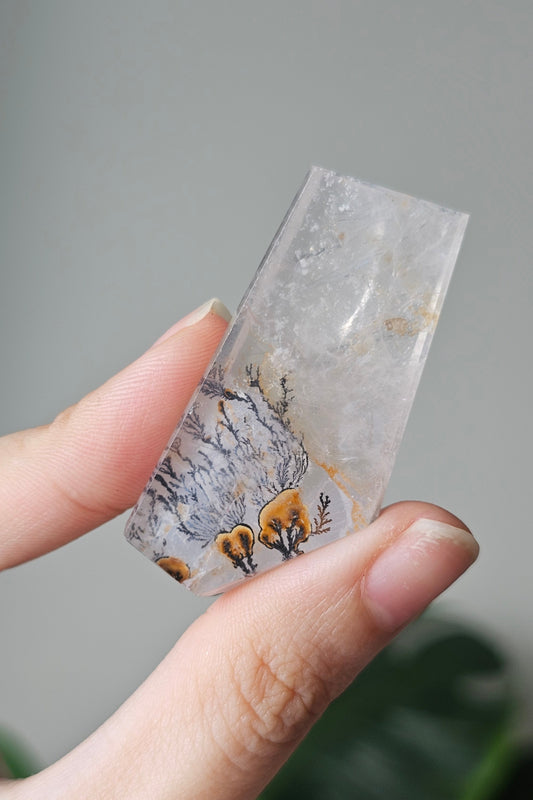 Dendritic Quartz