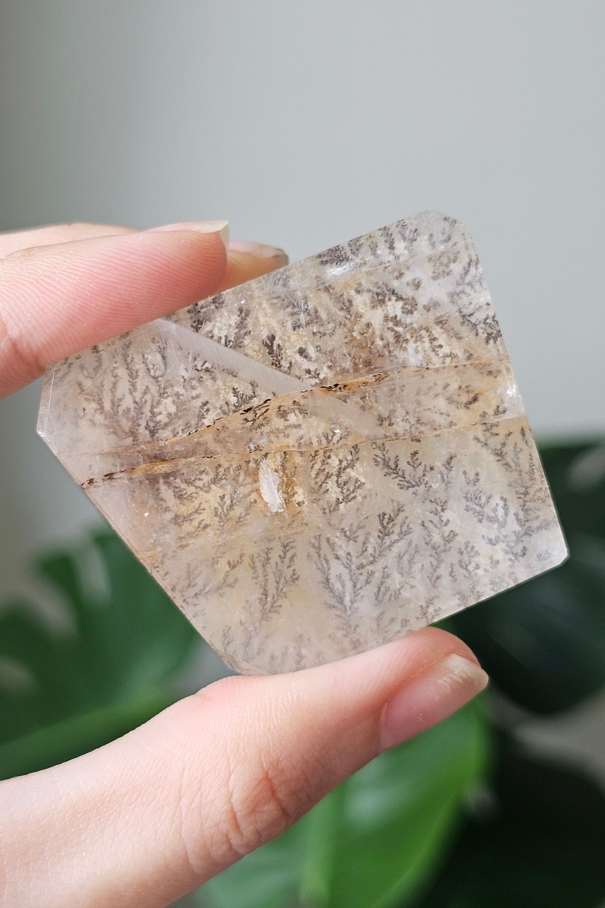 Dendritic Quartz