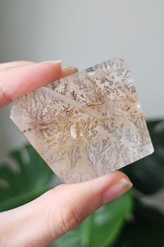 Dendritic Quartz